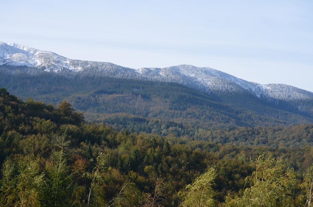 Villa Dom Na Mosornym Groniu Zawoja Esterno foto