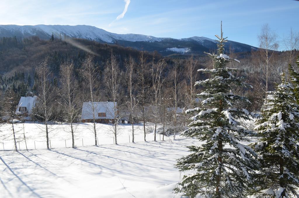 Villa Dom Na Mosornym Groniu Zawoja Esterno foto