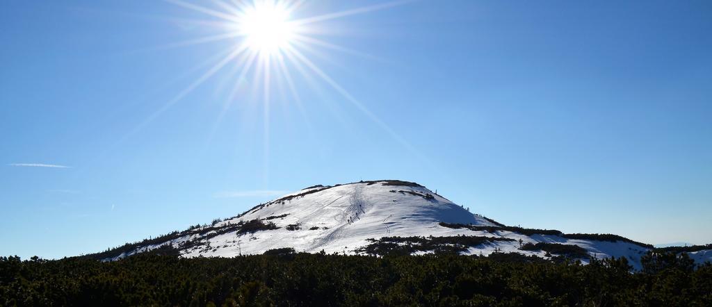 Villa Dom Na Mosornym Groniu Zawoja Esterno foto